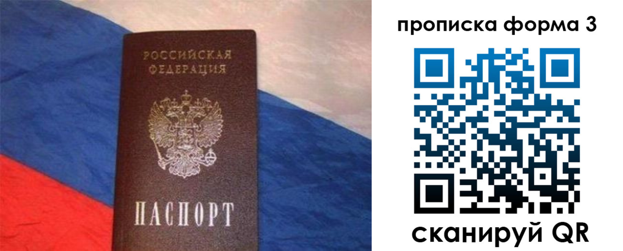 временная регистрация гарантия в Камышлове
